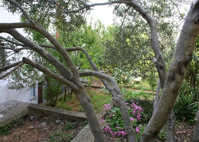 Апартаменты 518a *